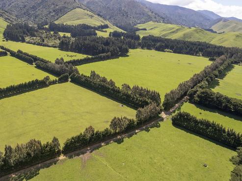 189 Thorburn Road, Dannevirke