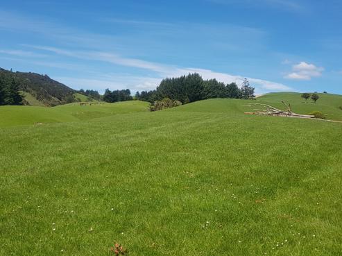 1726 Owaka Highway, Kaka Point