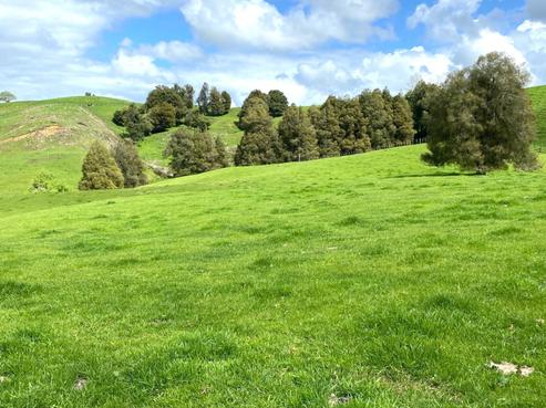23 Mairoa Road, Piopio