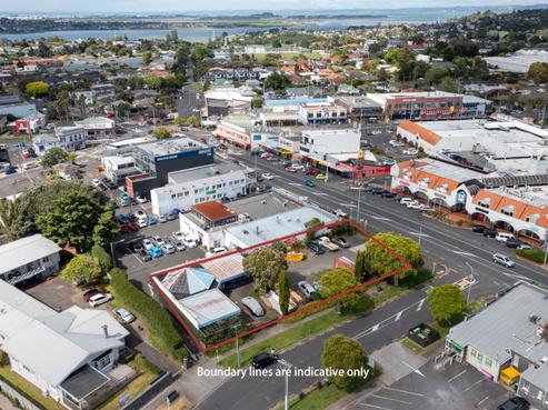 1 Turama Road, Royal Oak