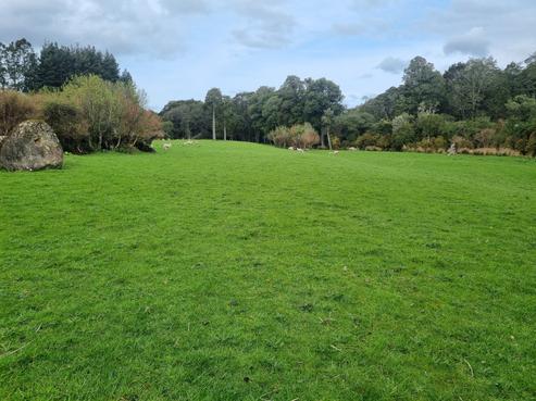 1384 Tahakopa Valley Road, Catlins Surrounds