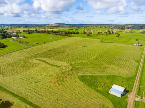 243 Maropiu Settlement Road, Dargaville Surrounds