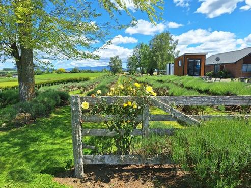 169 Brotherhood Road, Kihikihi