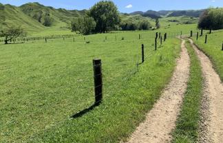 2896 State Highway 3, Awakino