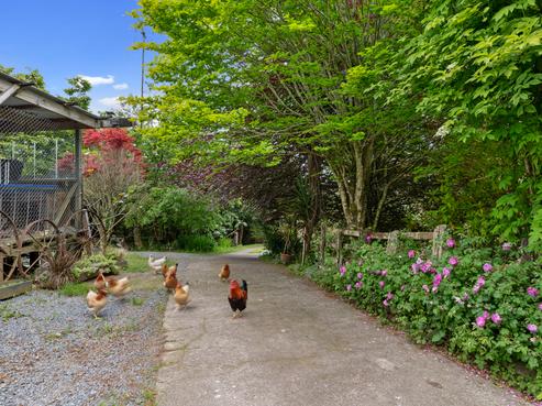 1256 Carrington Road, Hurworth