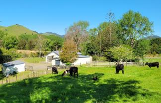 590 Murray Road, Tangowahine