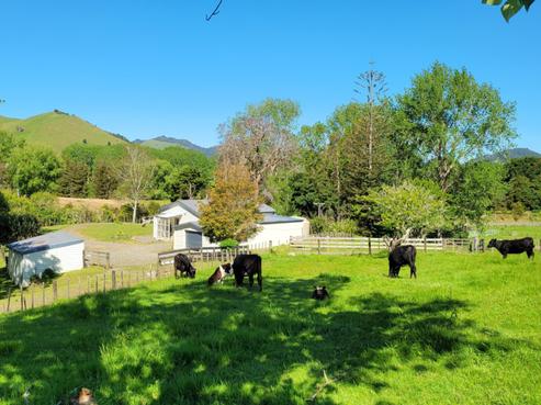 590 Murray Road, Dargaville Surrounds