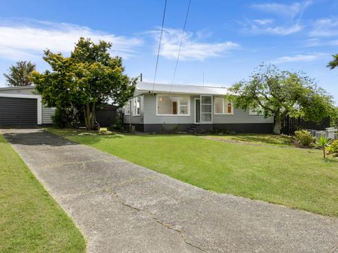 12 Fruitvale Road, New Lynn