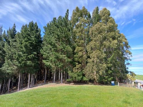 1185 Tuapeka West Road, Lawrence