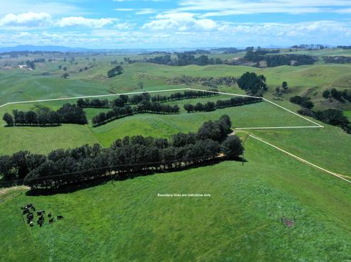512 Rehutai Road, Dargaville Surrounds