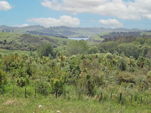 962A Oneriri Road, Kaiwaka