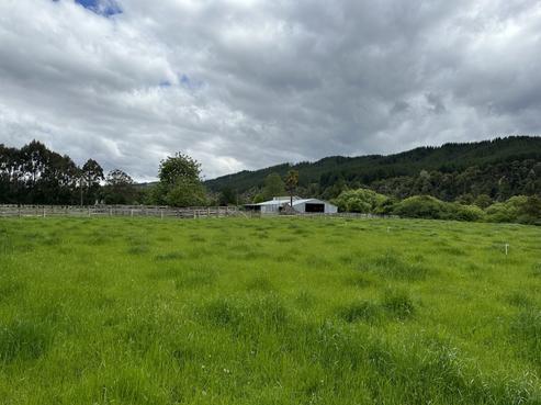 454 Korere-Tophouse Road, Tapawera