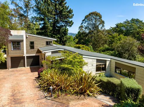 1 Leyden Terrace, Andersons Bay