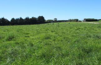  Pryde Road, Maitland