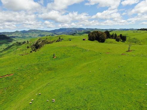 1474 Mangaotaki Road, Piopio