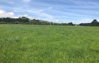 174 Mangahei Road, Dannevirke