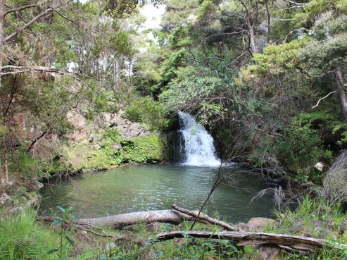 707 Monteith Road, Dargaville Surrounds