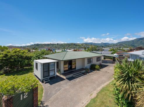 12 Chandler Street, Tahunanui