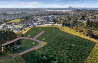 Stage 4B Quail Ridge Estate, Ohauiti