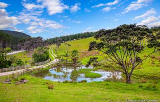 1089 Run Road, Wellsford