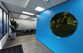 Bite-sized Takapuna office suites