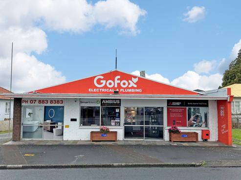81 Tirau Street, Putaruru