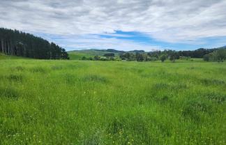 201 Pond Road, Raglan
