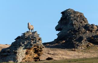 1109 Little Valley Road, Alexandra