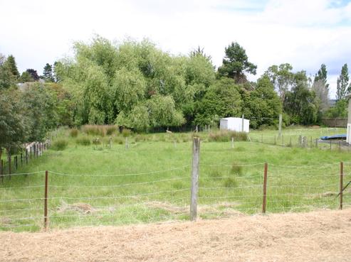 23 Thomas Street, Waikouaiti
