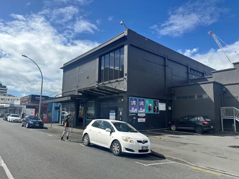 30 Alexandra Street, Hamilton Central