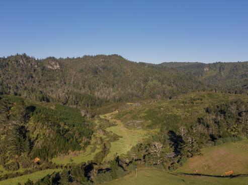 131B Paul Road, Tairua