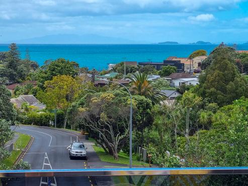 16 Clematis Avenue, Murrays Bay