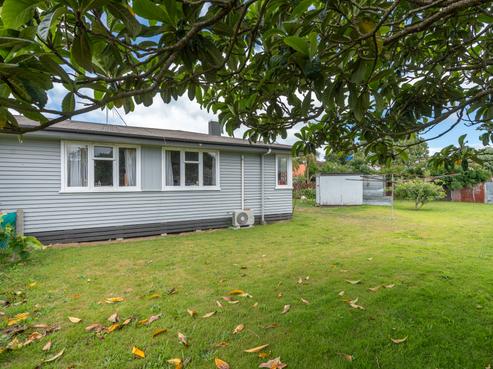17B Galway Avenue, Hamilton East