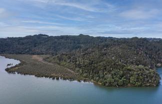 295 Kopaki Point, Cooks Beach