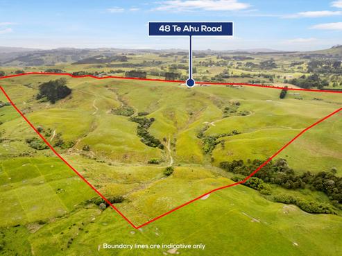 48 Te Ahu Road, Pukekawa