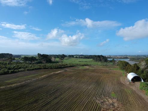 41 Wharf Road, Clarks Beach