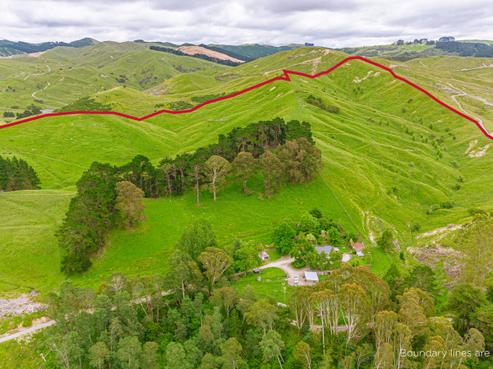 1655 Annedale Road, Tinui