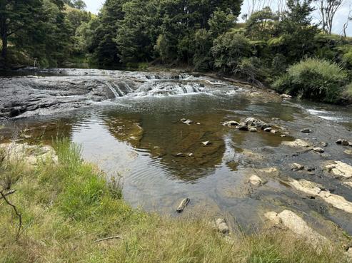 316 Otioro Road, Topuni