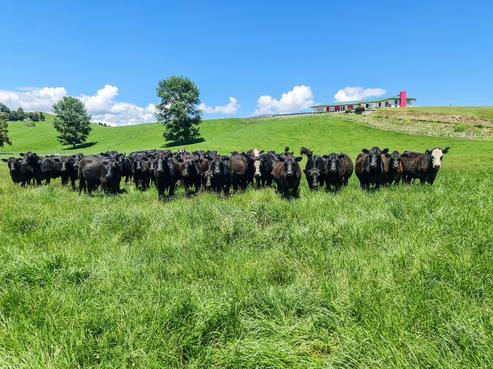331 Burnand Road, Manunui