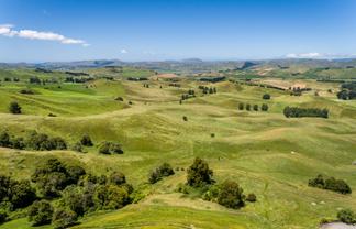 Lot 2/440 Te Onepu Road, Raukawa