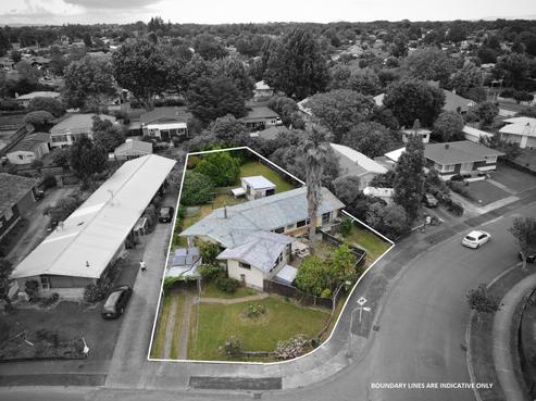 19 Patricia Avenue, Hamilton East