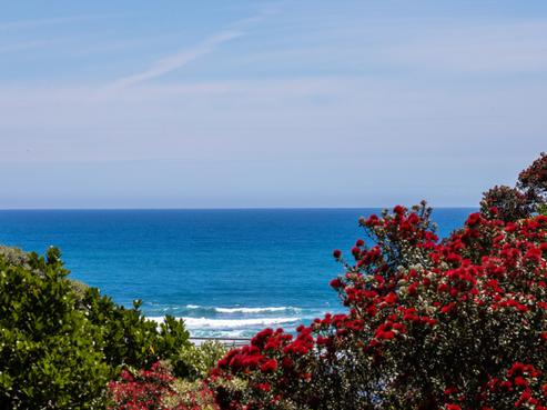 79 Garden Road, Piha