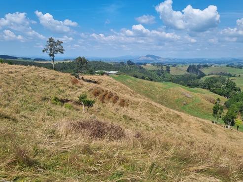 254B Pekanui Road, Pirongia
