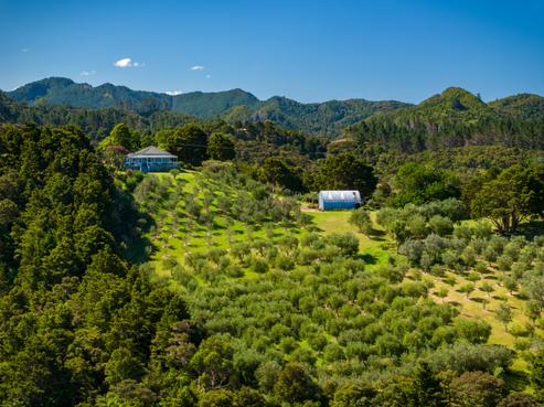 117 Awa Way, Parua Bay