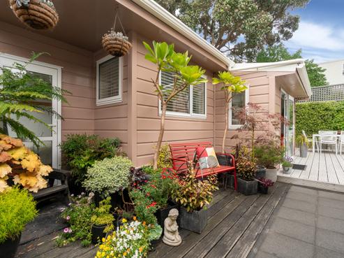 24B Roy Street, Newtown