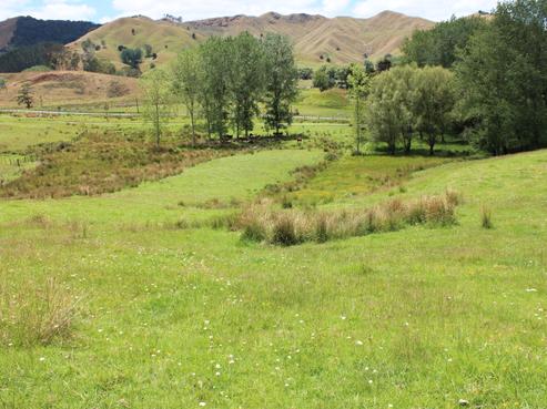 580 Murray Road, Dargaville Surrounds