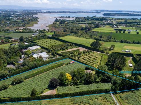 42 Borell Road, Te Puna