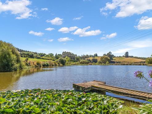 36 Pukeko Lane, Redwood Valley