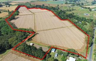 Some of Pukekohe’s finest cropping land