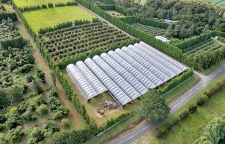 65 Tatton Road, Maungatapere